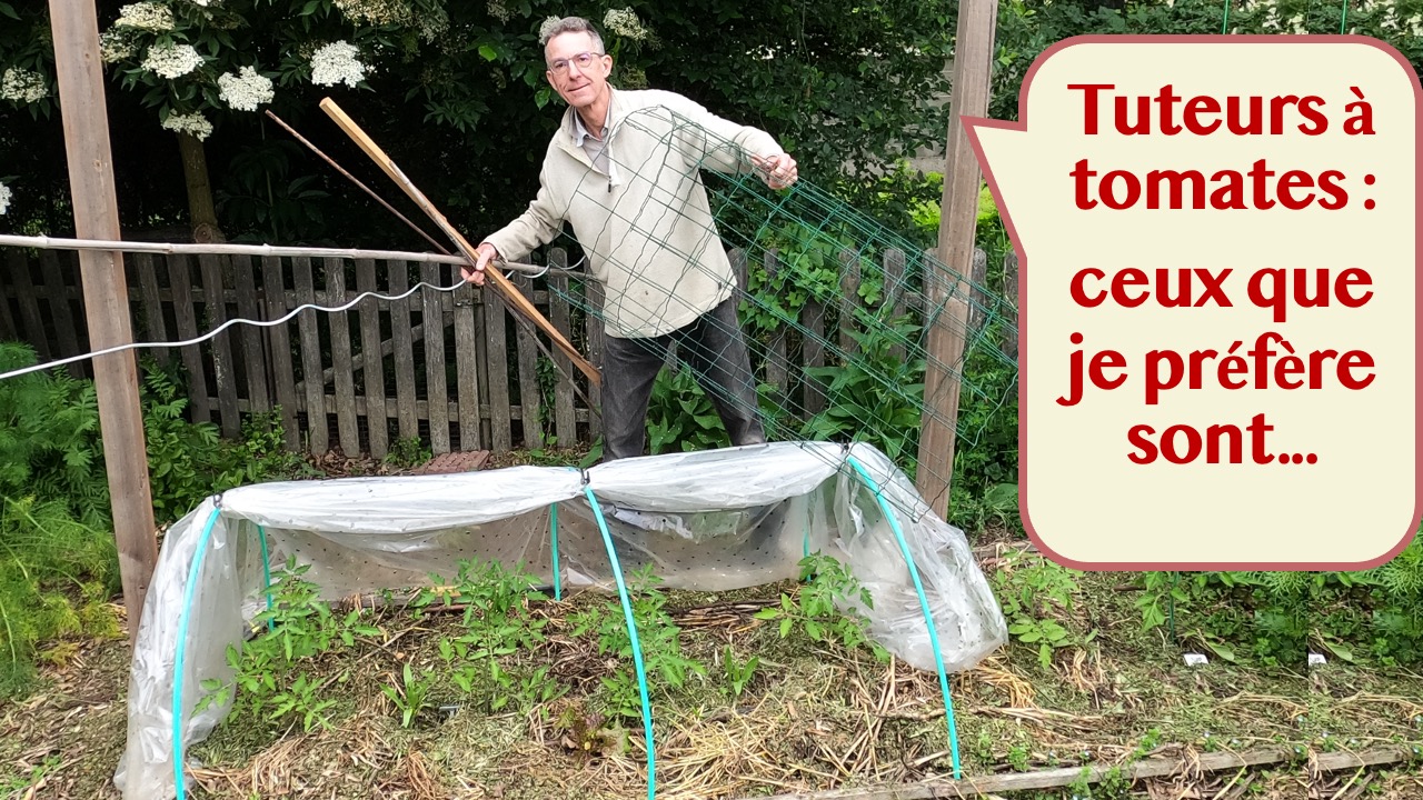 Mon tuteur préféré pour les tomates