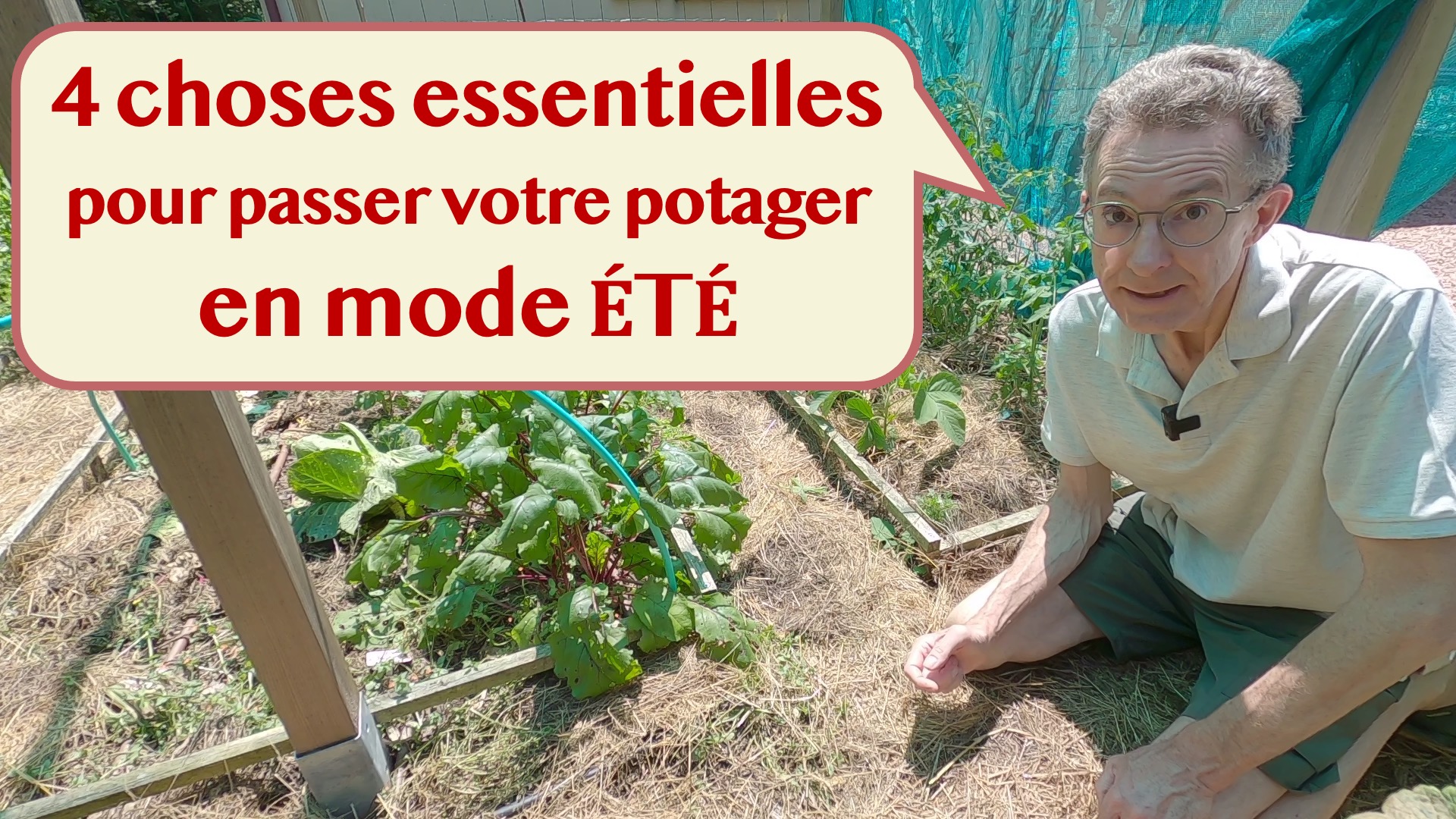 4 choses essentielles pour passer votre potager en mode “été”